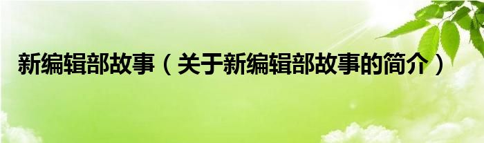 新編輯部故事（關(guān)于新編輯部故事的簡(jiǎn)介）