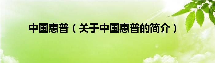 中國惠普（關(guān)于中國惠普的簡(jiǎn)介）