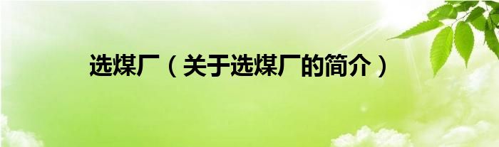 選煤廠（關(guān)于選煤廠的簡(jiǎn)介）