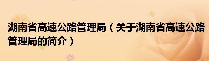 湖南省高速公路管理局（關于湖南省高速公路管理局的簡介）