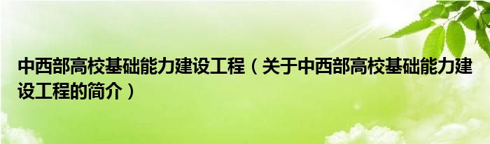 中西部高校基礎(chǔ)能力建設(shè)工程（關(guān)于中西部高?；A(chǔ)能力建設(shè)工程的簡(jiǎn)介）