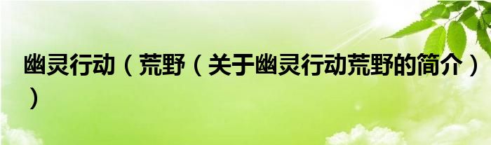 幽靈行動(dòng)（荒野（關(guān)于幽靈行動(dòng)荒野的簡(jiǎn)介））