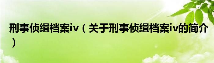 刑事偵緝檔案iv（關(guān)于刑事偵緝檔案iv的簡介）