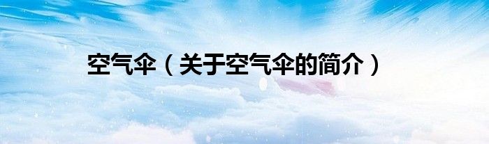 空氣傘（關于空氣傘的簡介）