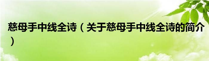 慈母手中線全詩（關(guān)于慈母手中線全詩的簡介）