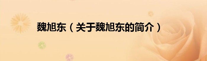 魏旭東（關(guān)于魏旭東的簡(jiǎn)介）