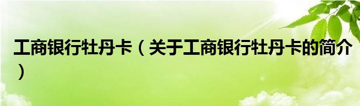 工商銀行牡丹卡（關(guān)于工商銀行牡丹卡的簡(jiǎn)介）