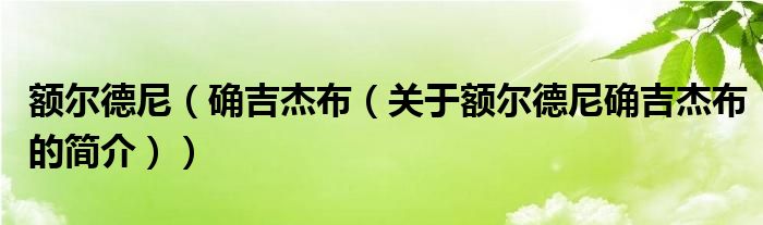 額爾德尼（確吉杰布（關(guān)于額爾德尼確吉杰布的簡介））