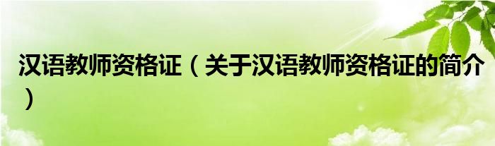 漢語(yǔ)教師資格證（關(guān)于漢語(yǔ)教師資格證的簡(jiǎn)介）