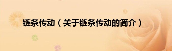 鏈條傳動(dòng)（關(guān)于鏈條傳動(dòng)的簡(jiǎn)介）