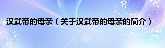 漢武帝的母親（關(guān)于漢武帝的母親的簡介）