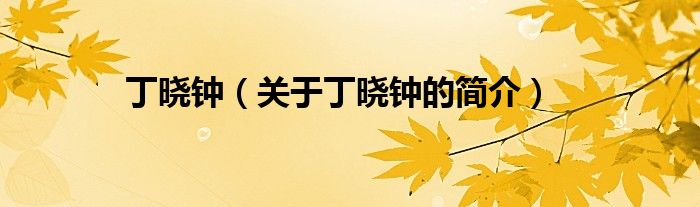 丁曉鐘（關(guān)于丁曉鐘的簡(jiǎn)介）