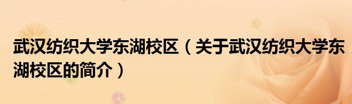 武漢紡織大學東湖校區(qū)（關于武漢紡織大學東湖校區(qū)的簡介）