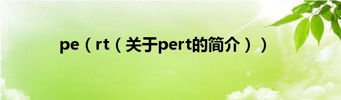 pe（rt（關于pert的簡介））