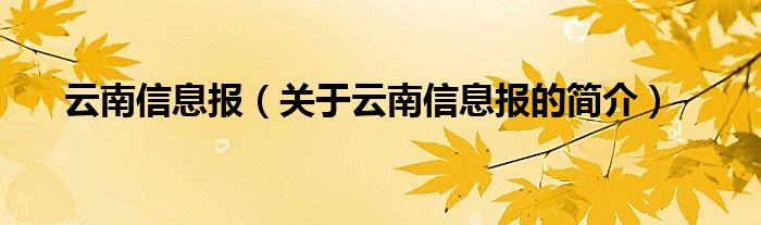 云南信息報（關(guān)于云南信息報的簡介）