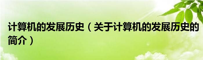 計算機的發(fā)展歷史（關于計算機的發(fā)展歷史的簡介）