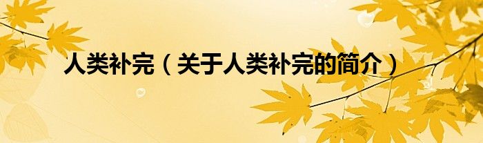 人類補(bǔ)完（關(guān)于人類補(bǔ)完的簡(jiǎn)介）