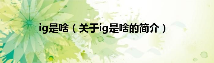 ig是啥（關(guān)于ig是啥的簡介）