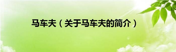 馬車(chē)夫（關(guān)于馬車(chē)夫的簡(jiǎn)介）