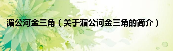 湄公河金三角（關(guān)于湄公河金三角的簡介）