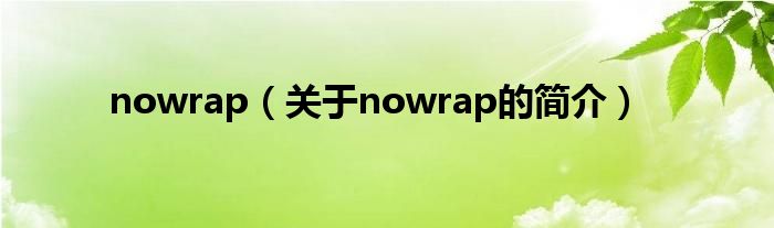 nowrap（關(guān)于nowrap的簡介）