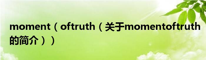 moment（oftruth（關(guān)于momentoftruth的簡介））