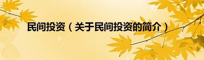 民間投資（關(guān)于民間投資的簡(jiǎn)介）