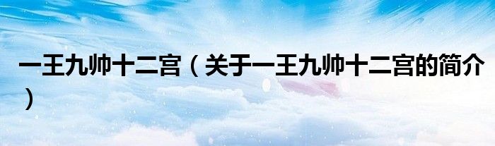 一王九帥十二宮（關(guān)于一王九帥十二宮的簡(jiǎn)介）