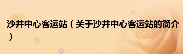 沙井中心客運站（關(guān)于沙井中心客運站的簡介）