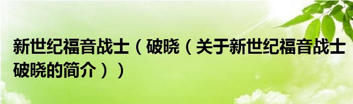 新世紀福音戰(zhàn)士（破曉（關于新世紀福音戰(zhàn)士破曉的簡介））