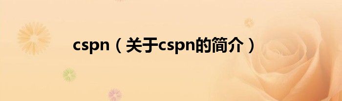 cspn（關于cspn的簡介）