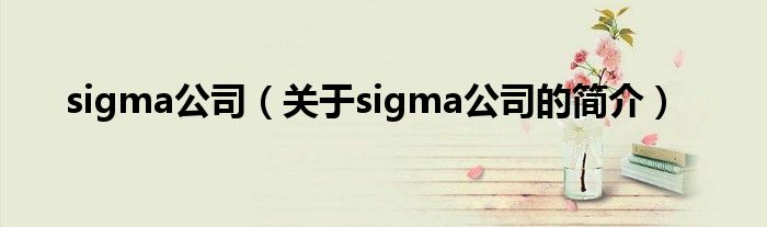 sigma公司（關于sigma公司的簡介）