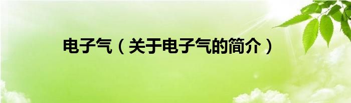 電子氣（關(guān)于電子氣的簡(jiǎn)介）