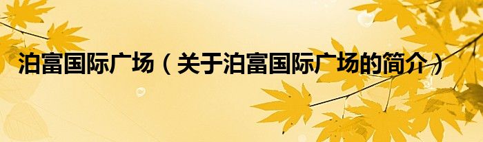 泊富國際廣場(chǎng)（關(guān)于泊富國際廣場(chǎng)的簡(jiǎn)介）