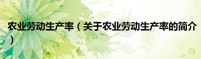 農(nóng)業(yè)勞動(dòng)生產(chǎn)率（關(guān)于農(nóng)業(yè)勞動(dòng)生產(chǎn)率的簡介）