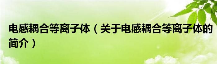 電感耦合等離子體（關(guān)于電感耦合等離子體的簡介）