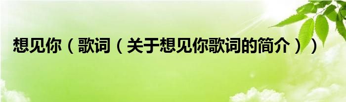 想見(jiàn)你（歌詞（關(guān)于想見(jiàn)你歌詞的簡(jiǎn)介））