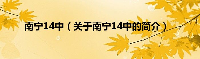 南寧14中（關(guān)于南寧14中的簡(jiǎn)介）