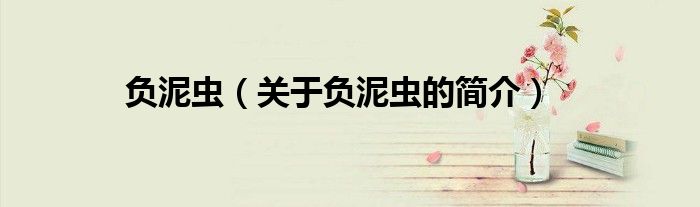 負(fù)泥蟲(chóng)（關(guān)于負(fù)泥蟲(chóng)的簡(jiǎn)介）