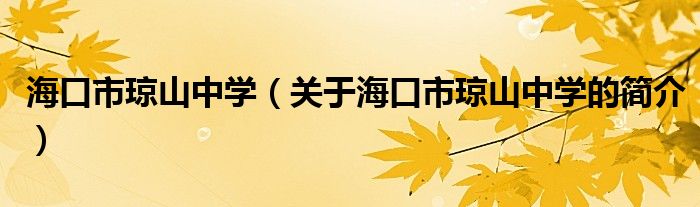 ?？谑协偵街袑W（關于?？谑协偵街袑W的簡介）