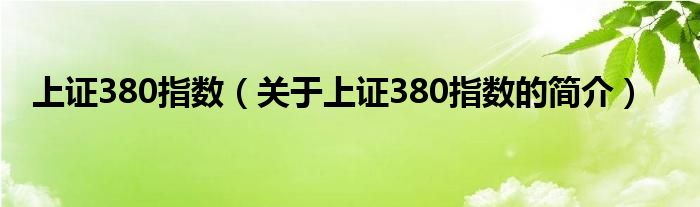 上證380指數（關于上證380指數的簡介）