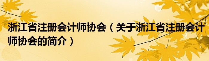 浙江省注冊會計師協(xié)會（關于浙江省注冊會計師協(xié)會的簡介）