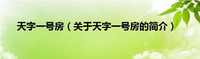 天字一號(hào)房（關(guān)于天字一號(hào)房的簡(jiǎn)介）