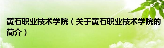 黃石職業(yè)技術學院（關于黃石職業(yè)技術學院的簡介）