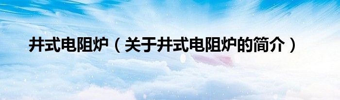 井式電阻爐（關于井式電阻爐的簡介）