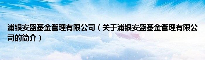 浦銀安盛基金管理有限公司（關于浦銀安盛基金管理有限公司的簡介）