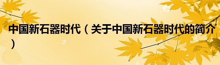 中國新石器時代（關(guān)于中國新石器時代的簡介）