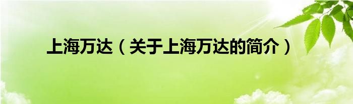 上海萬達(dá)（關(guān)于上海萬達(dá)的簡介）