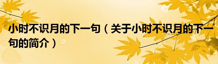 小時(shí)不識(shí)月的下一句（關(guān)于小時(shí)不識(shí)月的下一句的簡介）