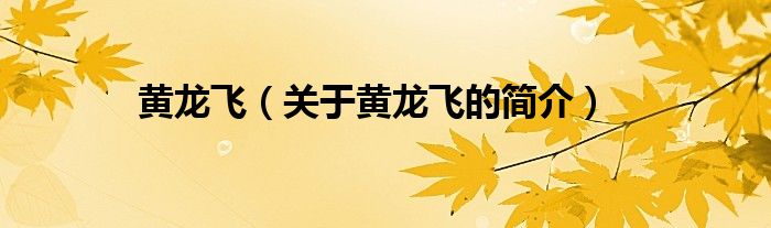 黃龍飛（關(guān)于黃龍飛的簡(jiǎn)介）